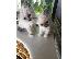 PoulaTo: BIRMAN